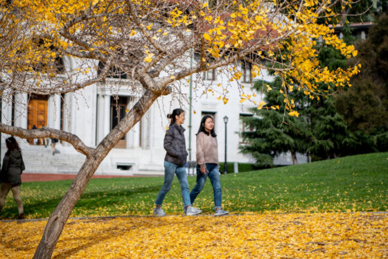 Two girls walking on lawn covered with yellow leaves